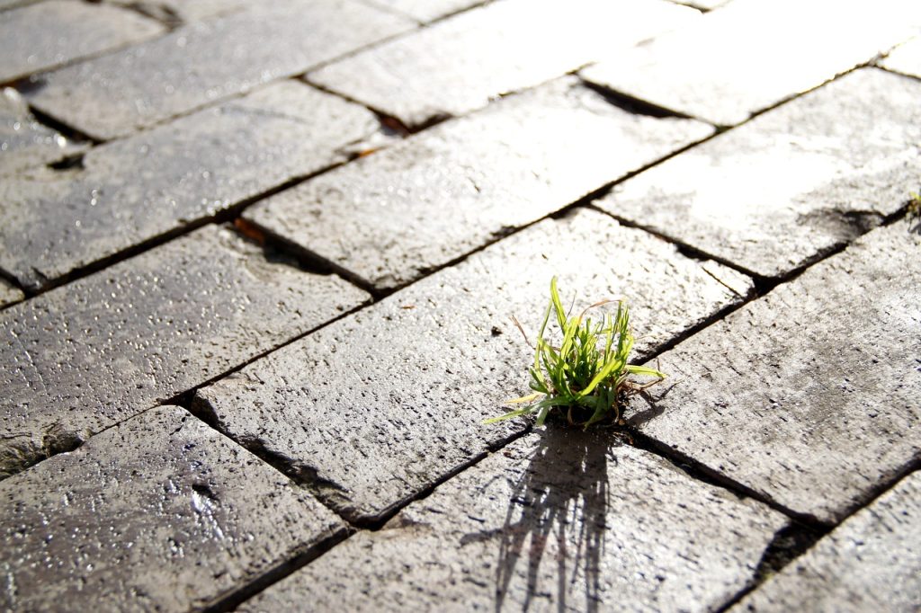 urbanisation durable