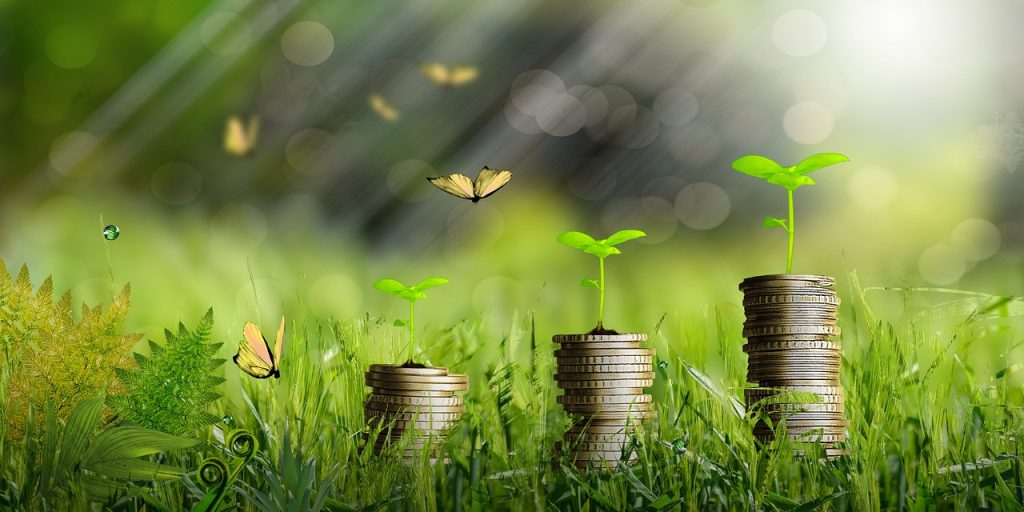 économie verte