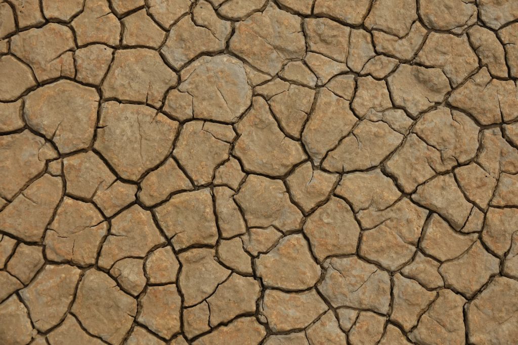 réchauffement climatique