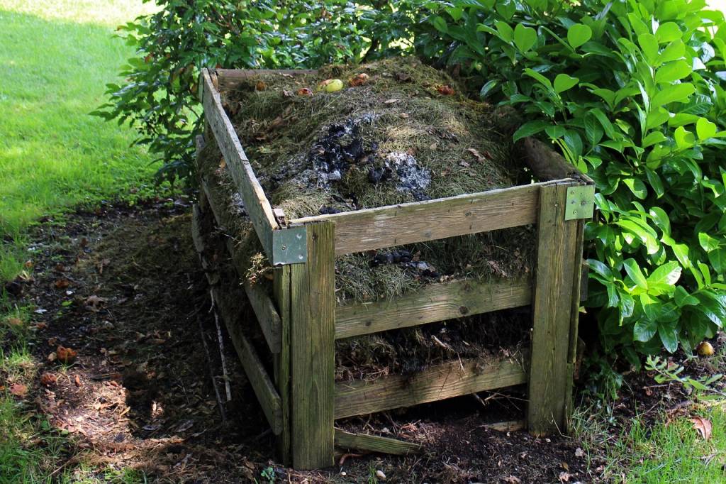 Innovations en compostage: du déchet à la terre nourricière
