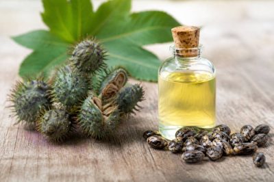 À quoi sert l’huile de ricin ? Usages, bienfaits et précautions naturelles