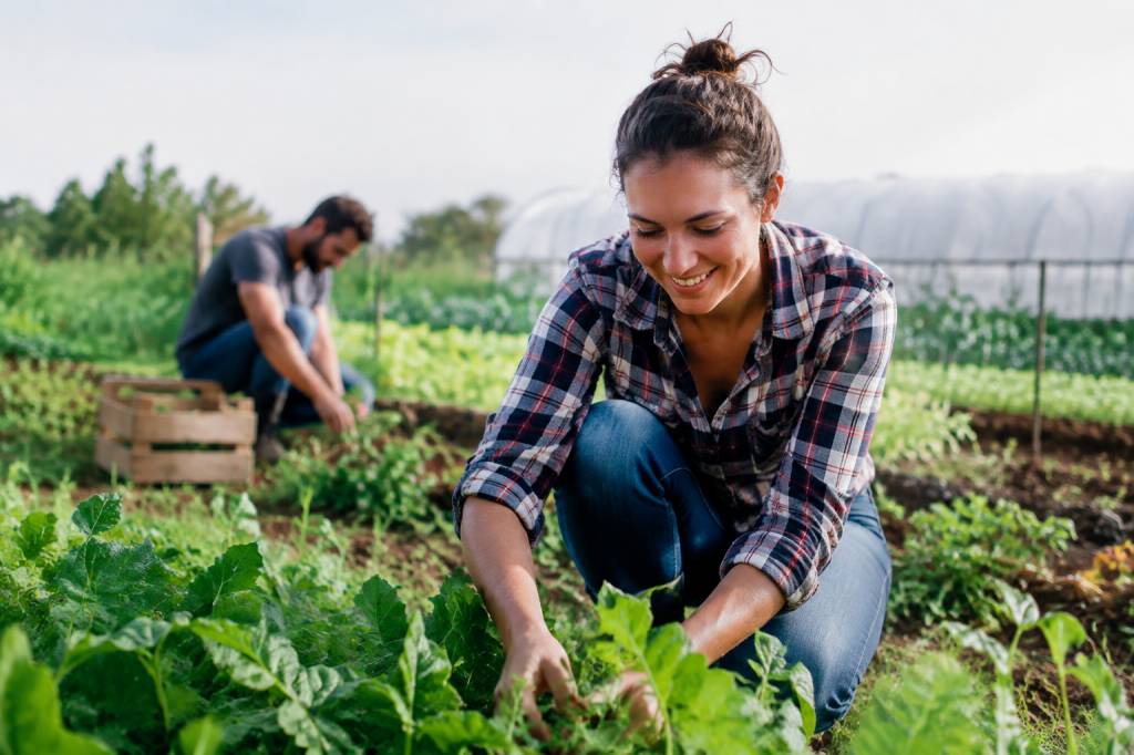 Emploi en agriculture biologique : les métiers qui façonnent une agriculture durable