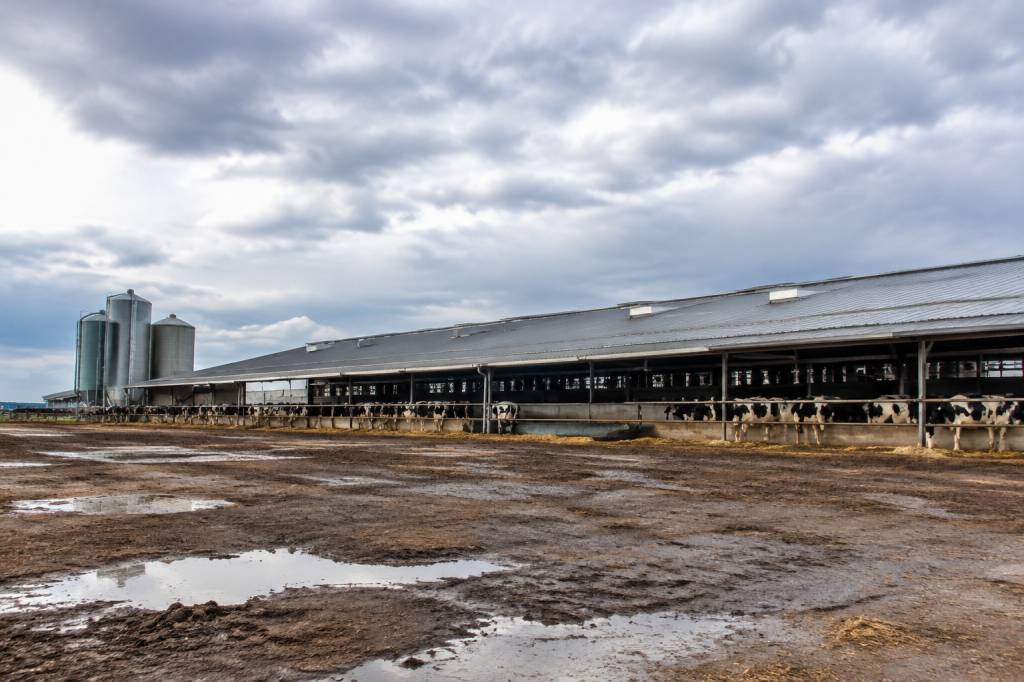 Ferme industrielle : quels impacts sur l’environnement et quelles alternatives durables ?