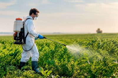 Danger des pesticides : quels risques pour la santé et l’environnement ?