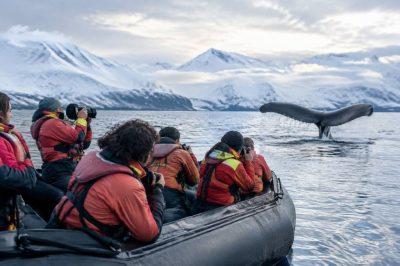 Campagne Greenpeace : les actions qui mobilisent pour protéger l’environnement