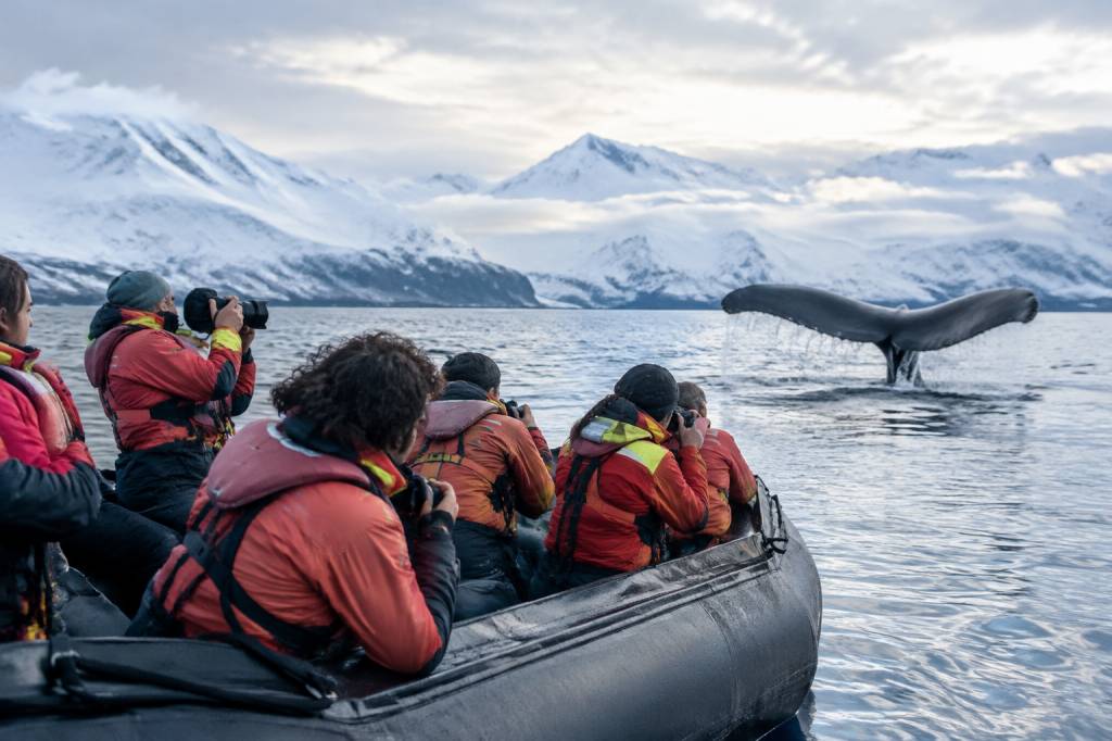 Campagne Greenpeace : les actions qui mobilisent pour protéger l’environnement