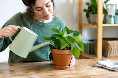 Calendrier saisonnier : les gestes écologiques à adopter toute l’année