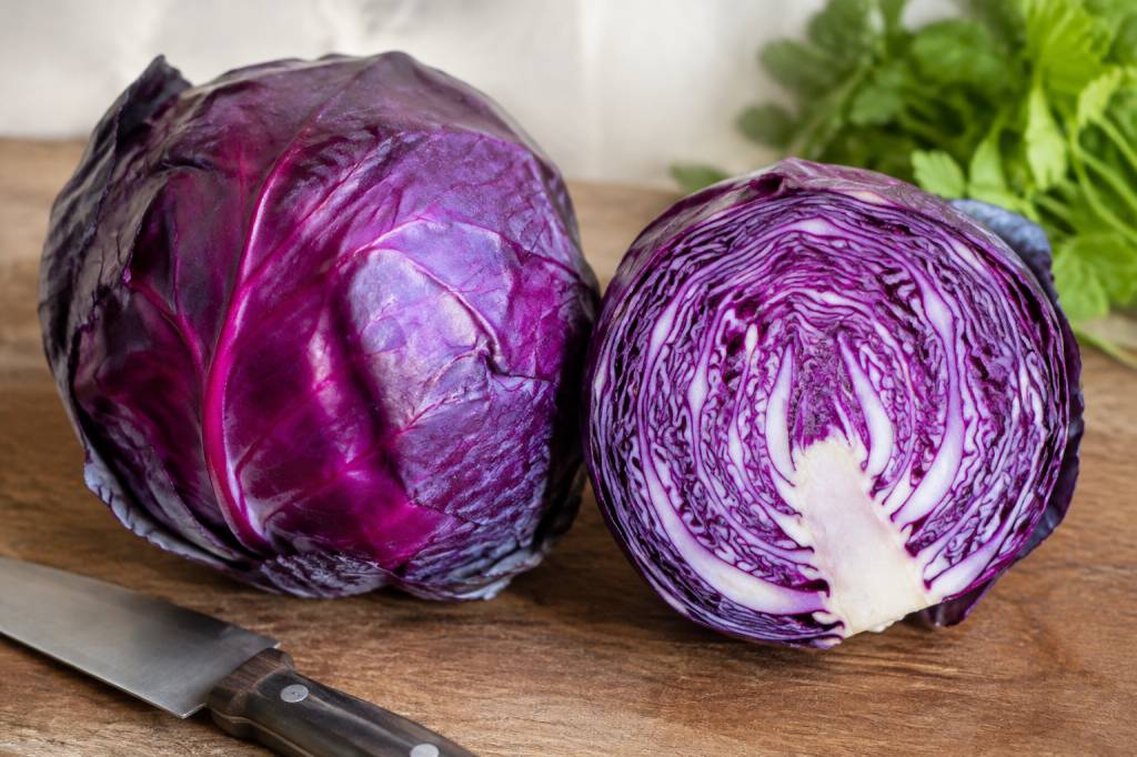 Chou rouge : quelle est sa saison et comment en profiter ?